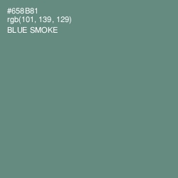 #658B81 - Blue Smoke Color Image